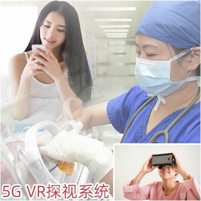 移动机器人探视系统